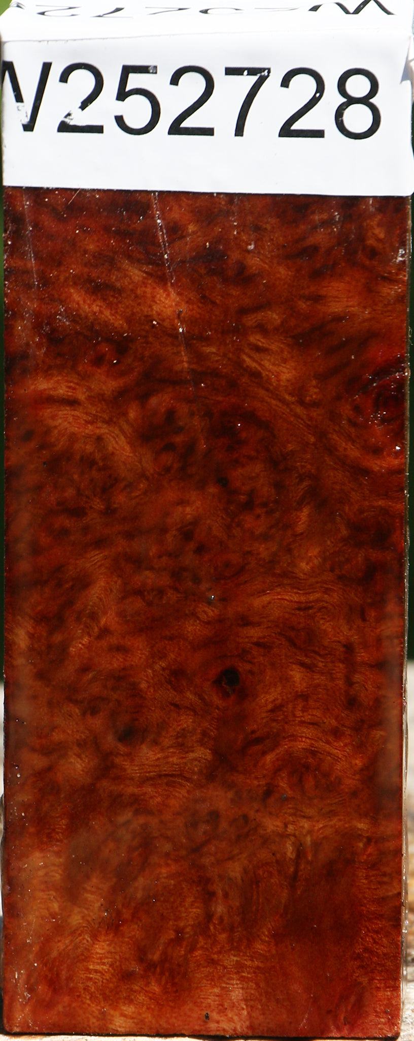 Camphor Burl Lumber