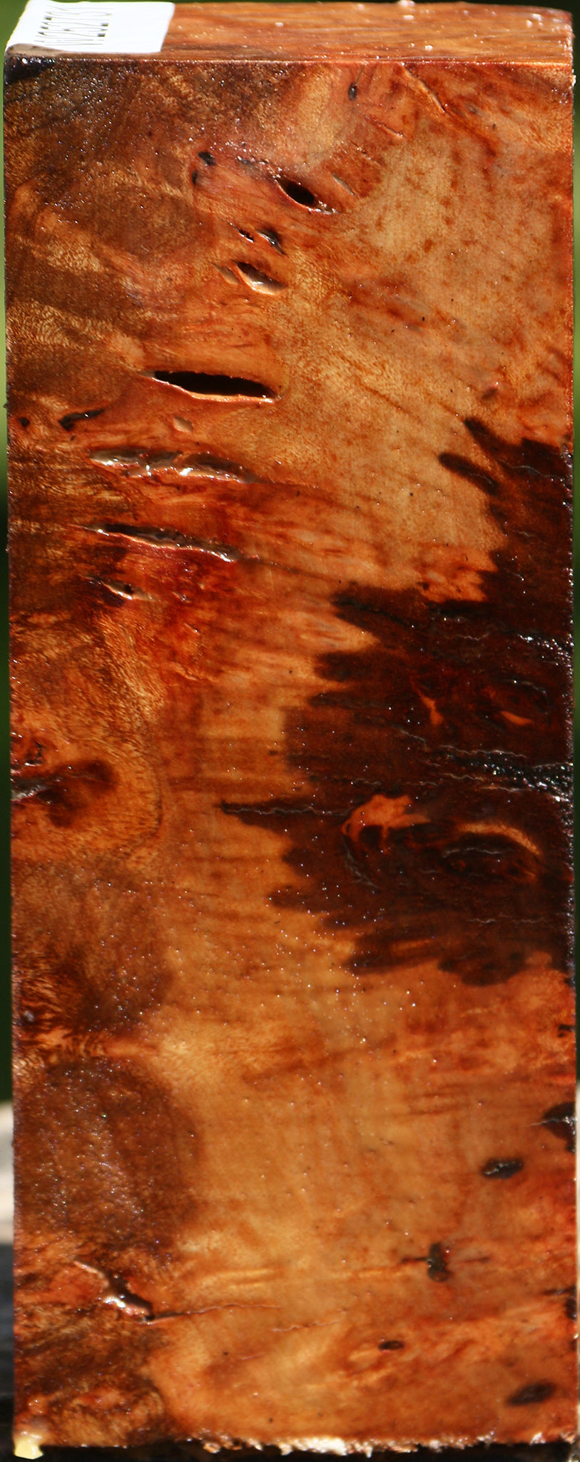 Rustic Camphor Burl Turning Square