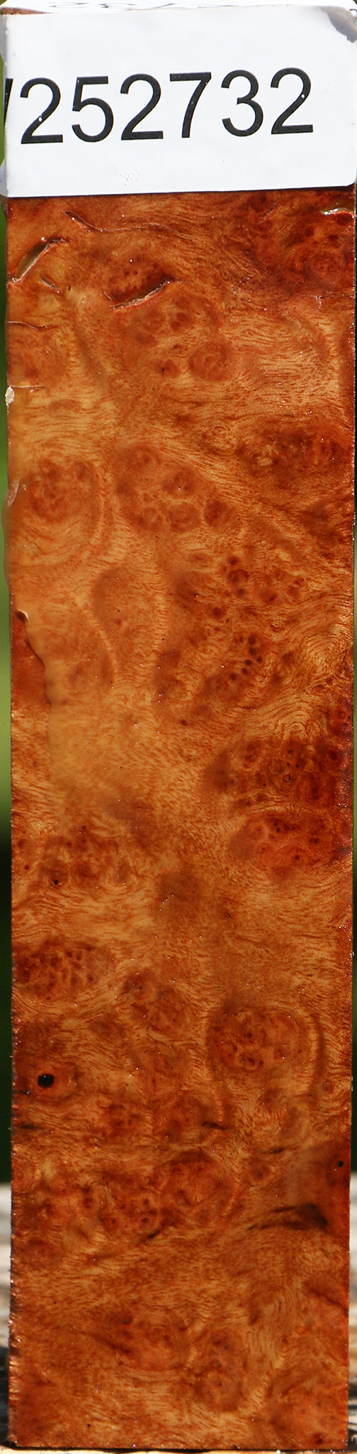 Camphor Burl Lumber