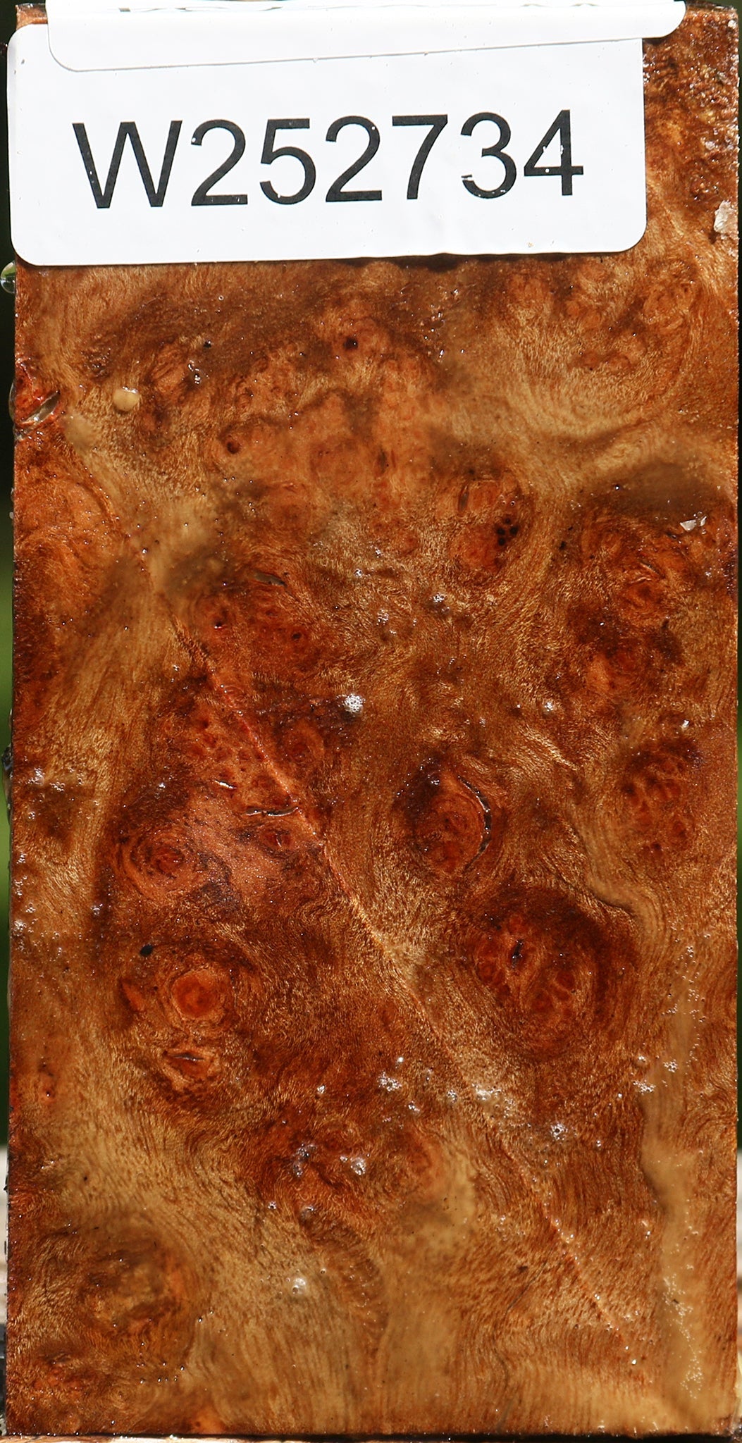 Camphor Burl Lumber