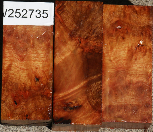 Camphor Burl Turning Square Bargain Box