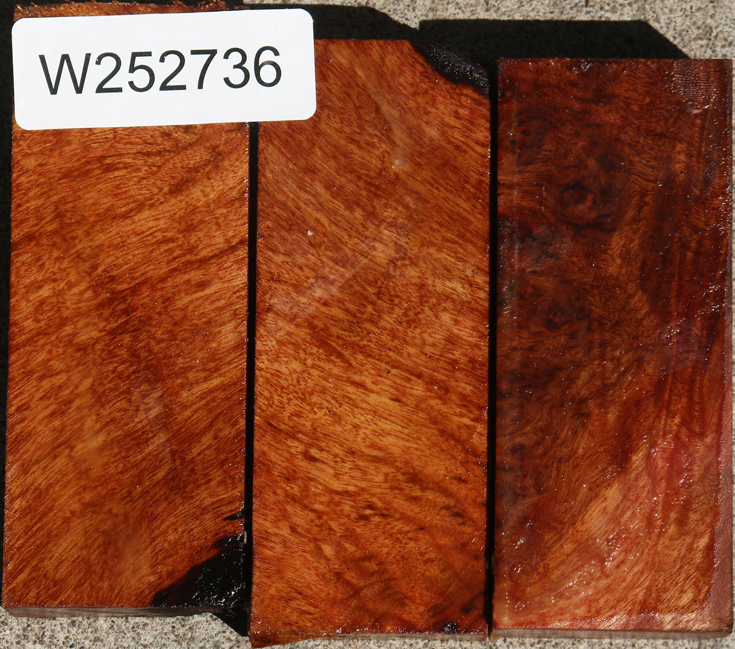 Camphor Burl Turning Blank Bargain Box