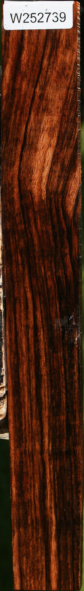 Figured Amara Ebony Lumber