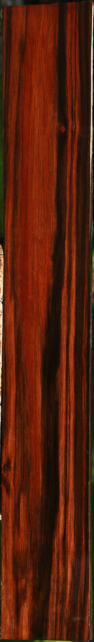 Figured Amara Ebony Lumber