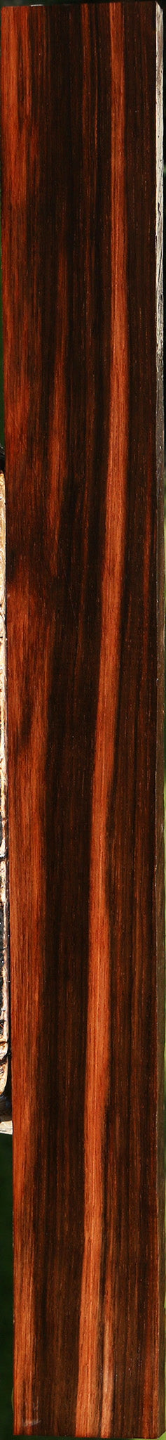 Figured Amara Ebony Lumber