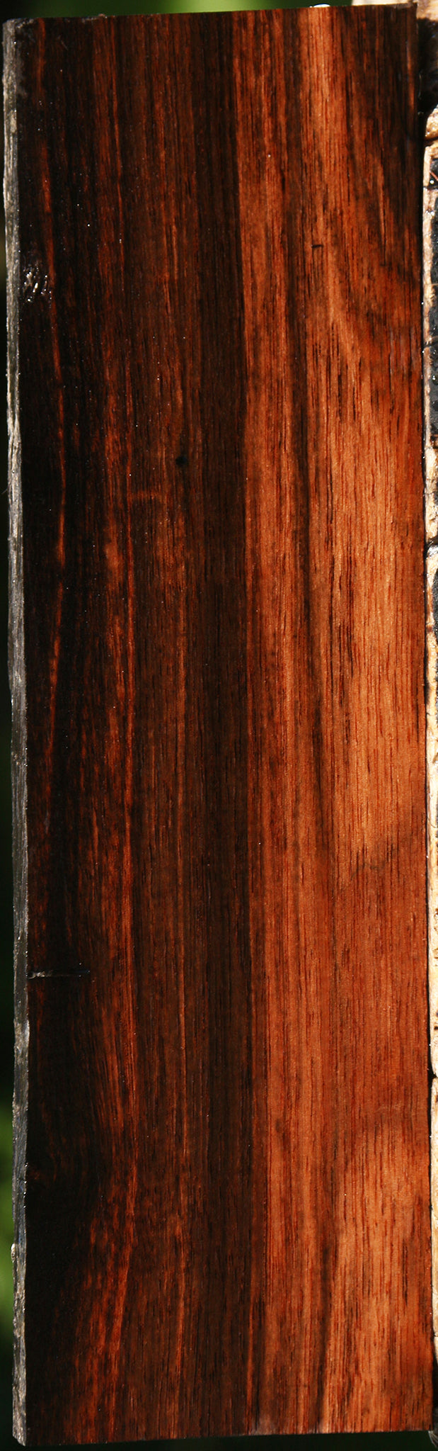 Amara Ebony Lumber