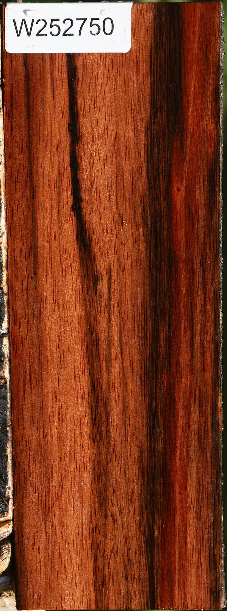 Amara Ebony Live Edge Lumber