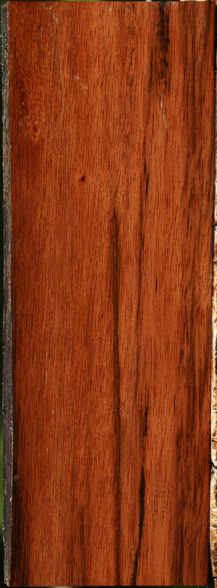 Amara Ebony Live Edge Lumber
