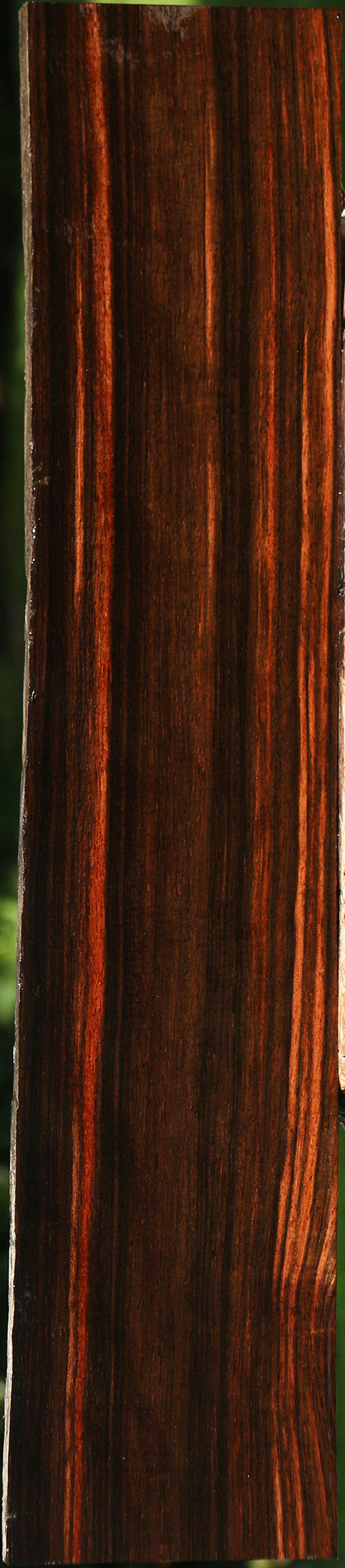 Quartersawn Amara Ebony Instrument Live Edge Lumber