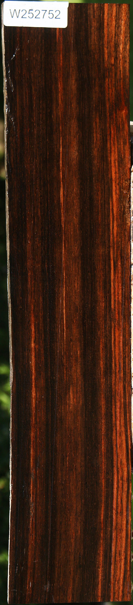 Quartersawn Amara Ebony Instrument Live Edge Lumber