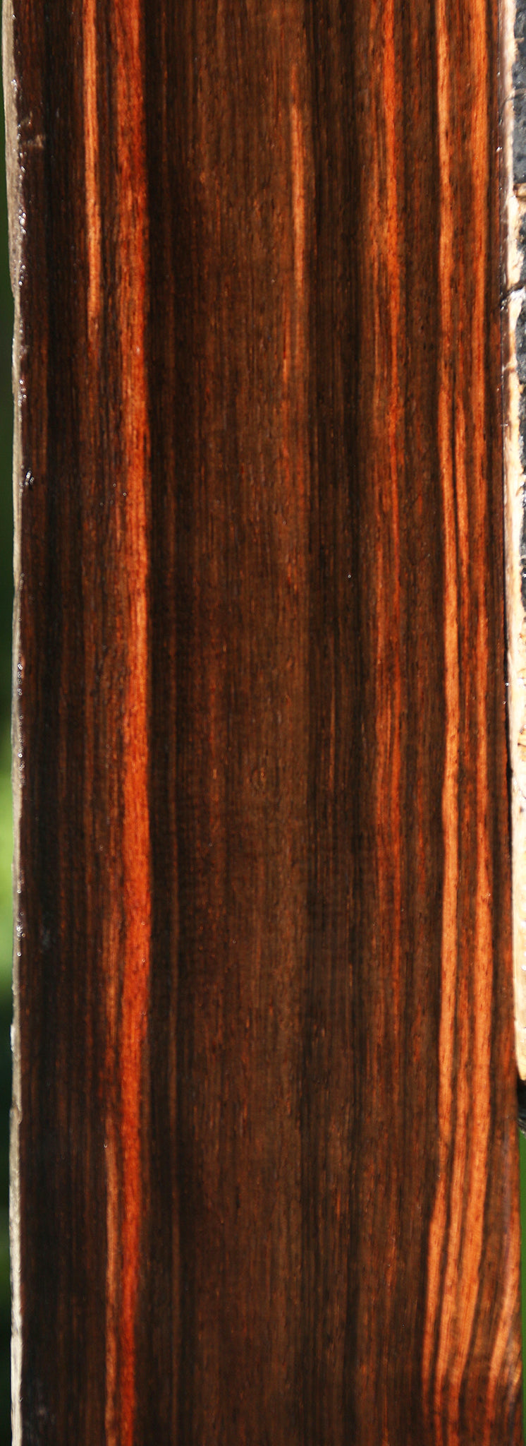 Quartersawn Amara Ebony Instrument Live Edge Lumber