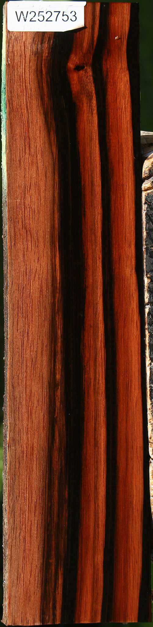Figured Amara Ebony Lumber