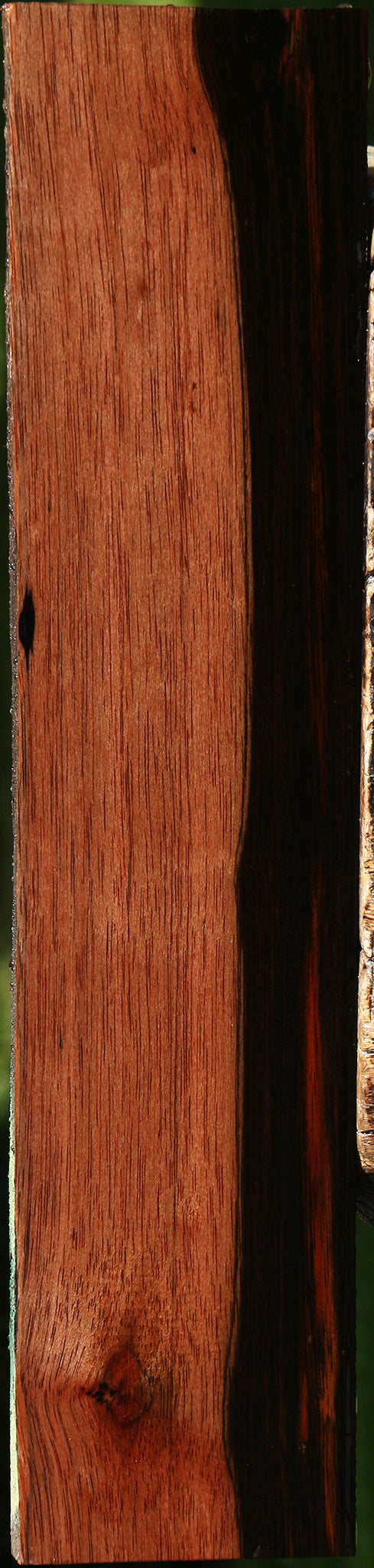 Figured Amara Ebony Lumber