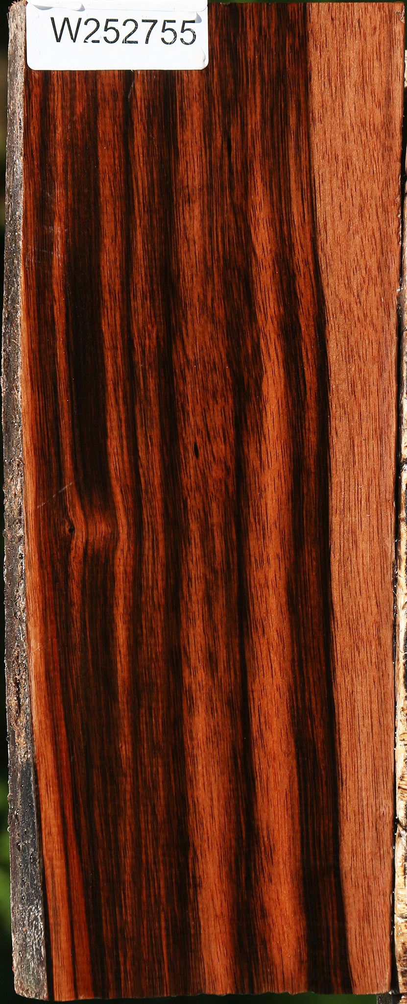 Amara Ebony Live Edge Lumber