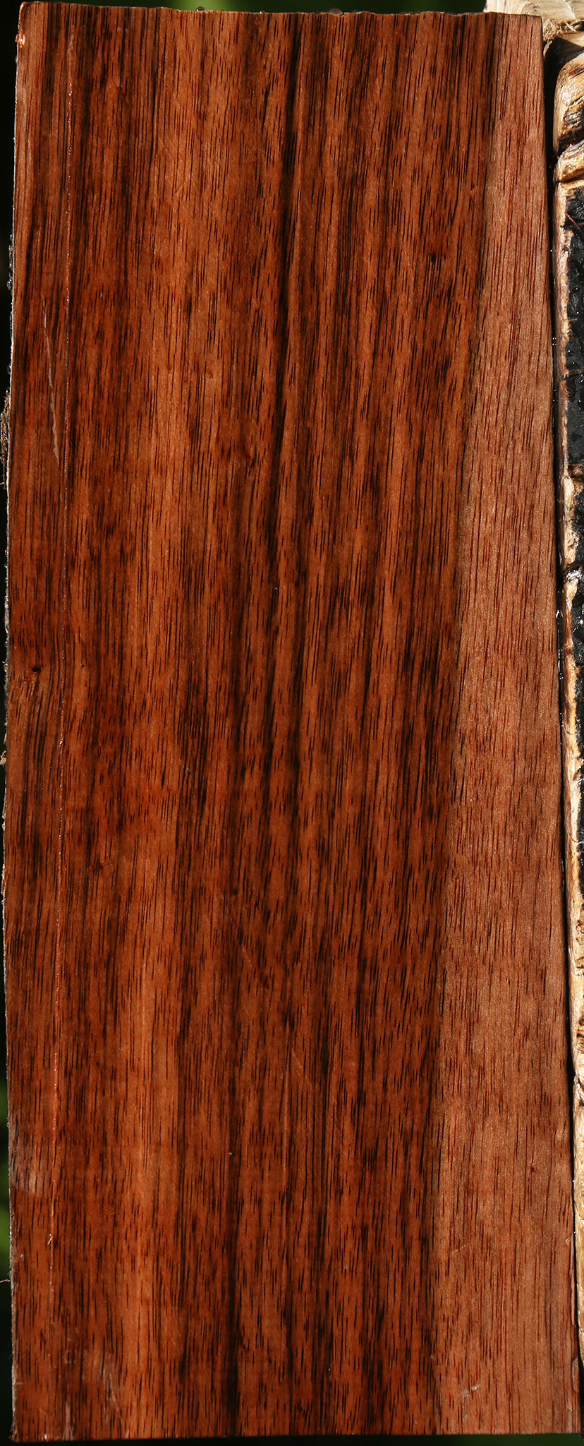 Amara Ebony Live Edge Lumber