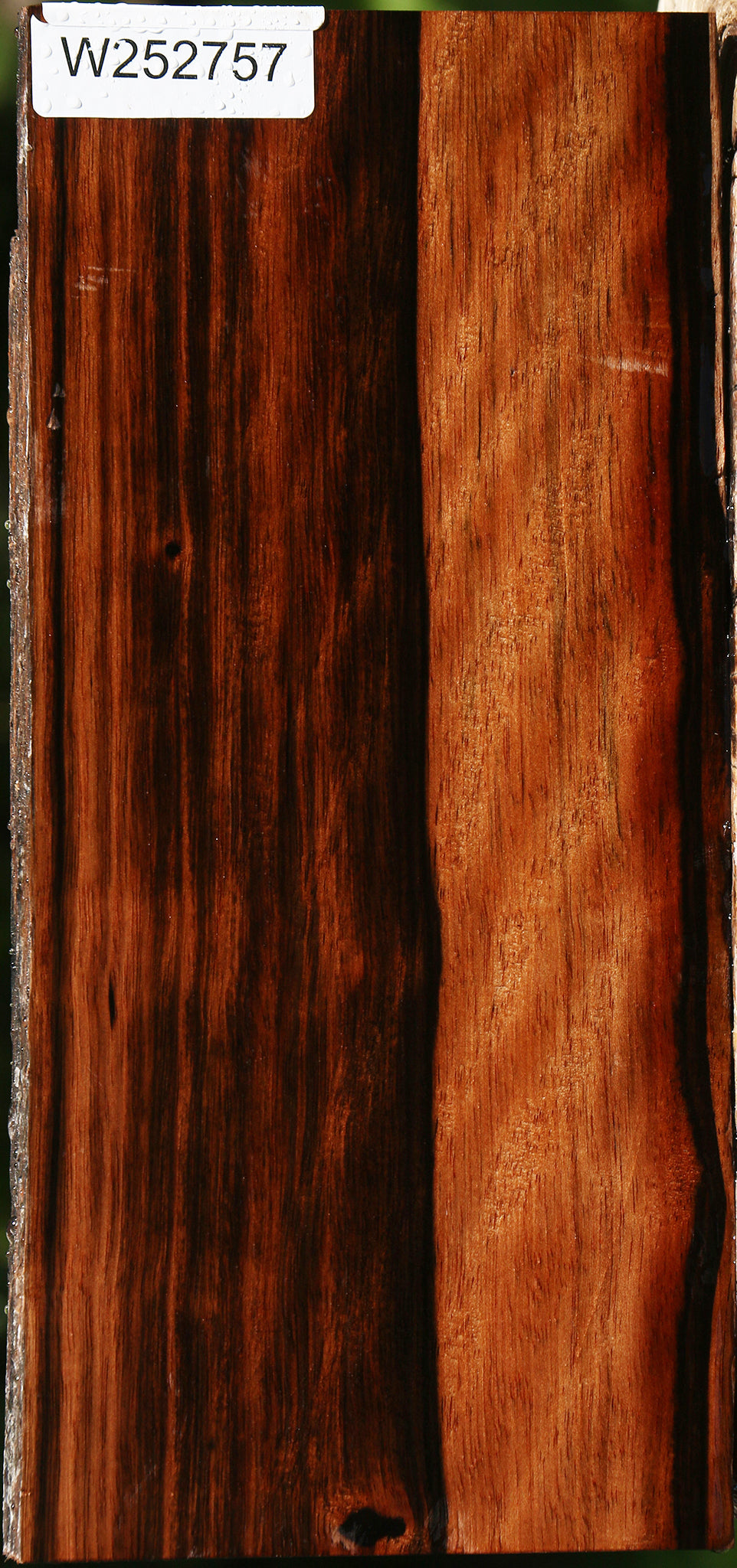 Extra Fancy Amara Ebony Live Edge Lumber