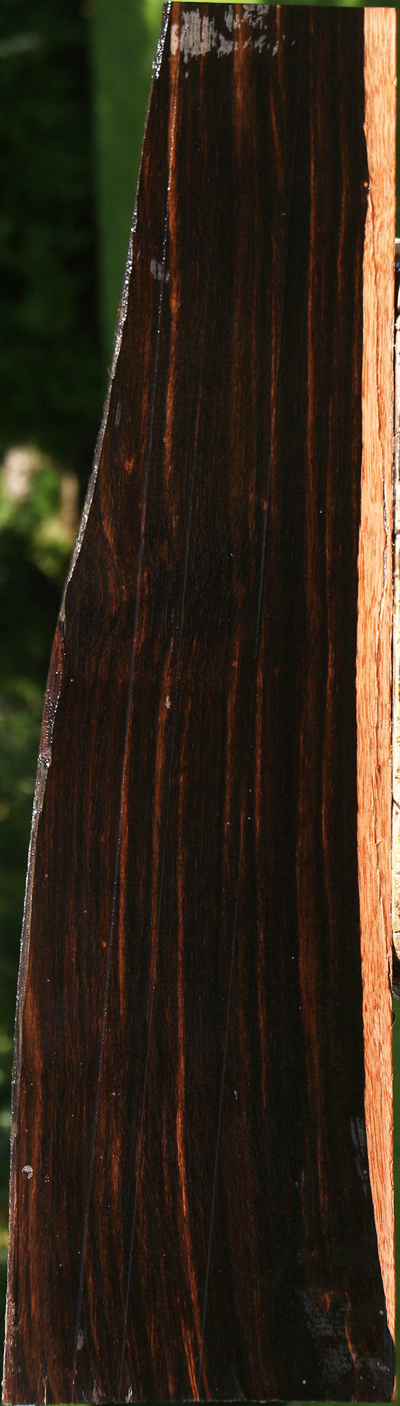 Quartersawn Amara Ebony Instrument Live Edge Lumber