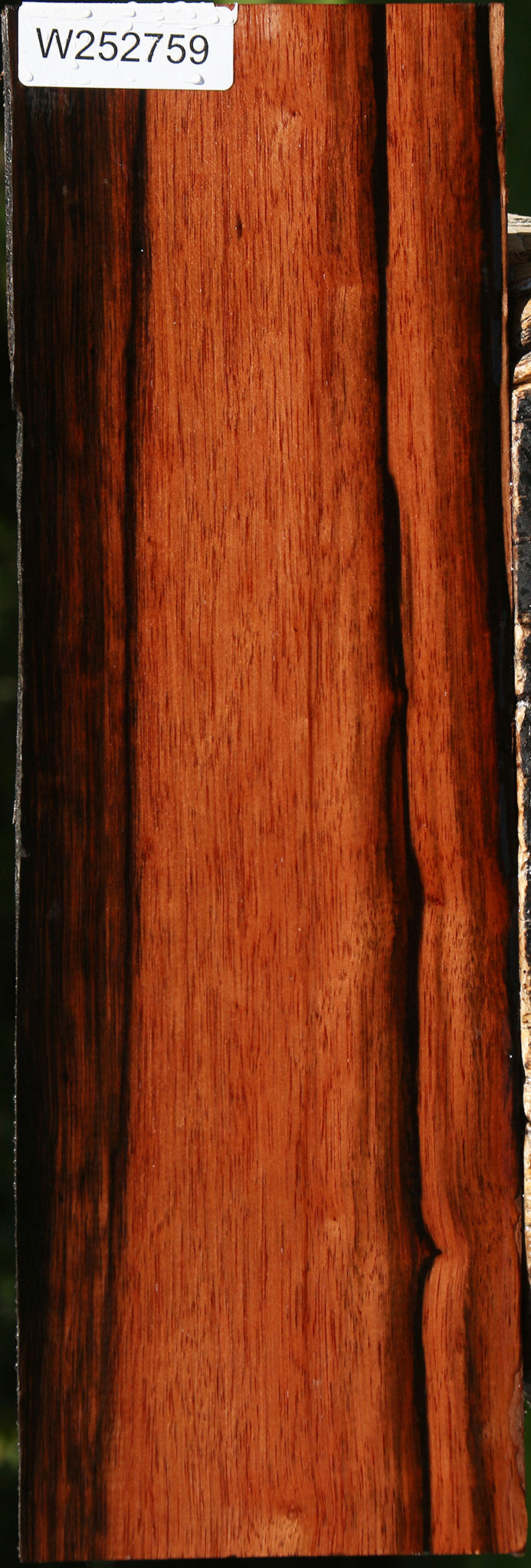 Amara Ebony Live Edge Lumber
