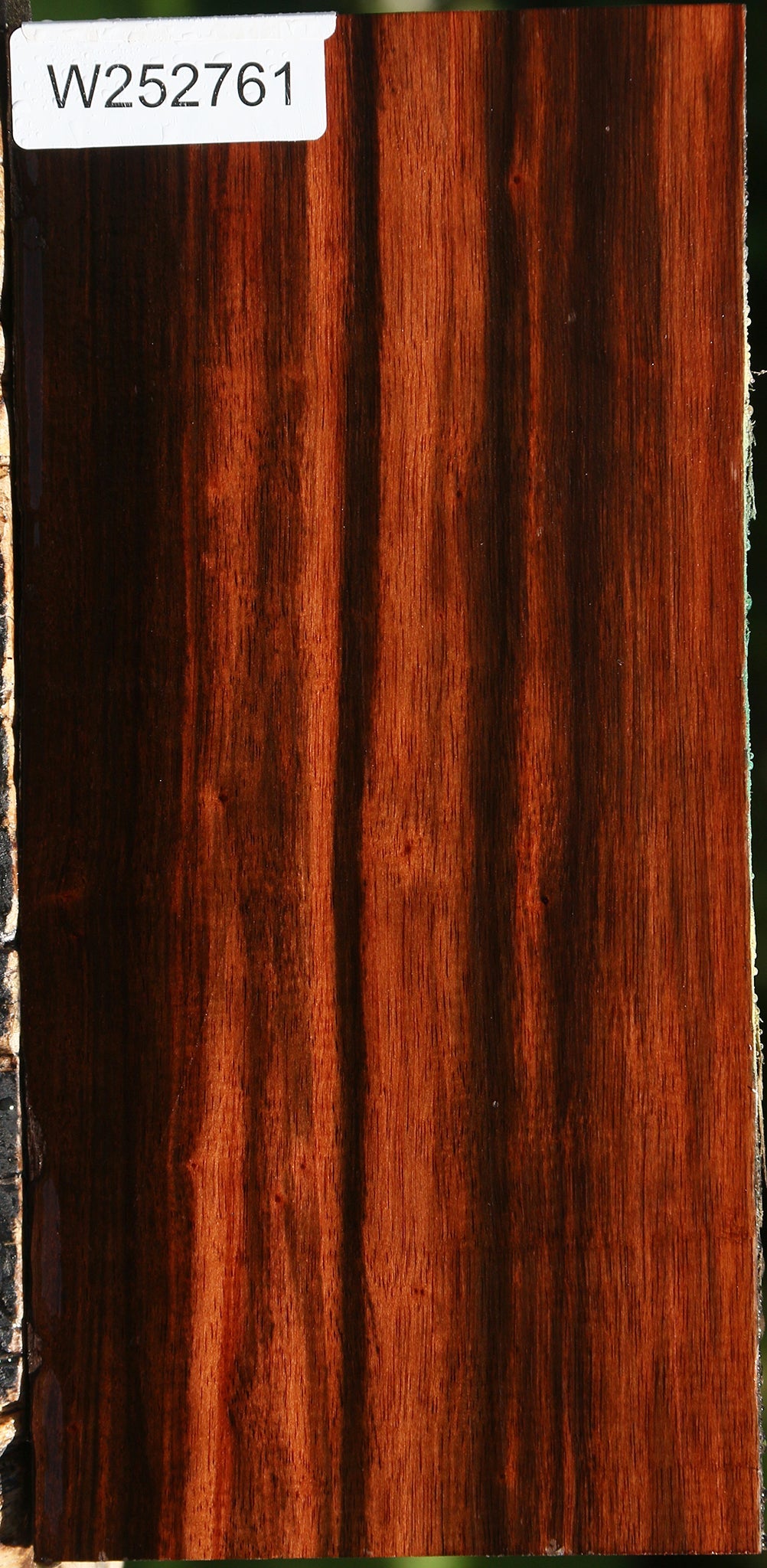 Amara Ebony Live Edge Lumber
