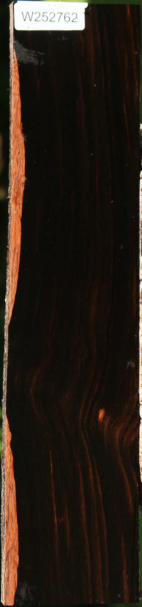 Amara Ebony Live Edge Lumber