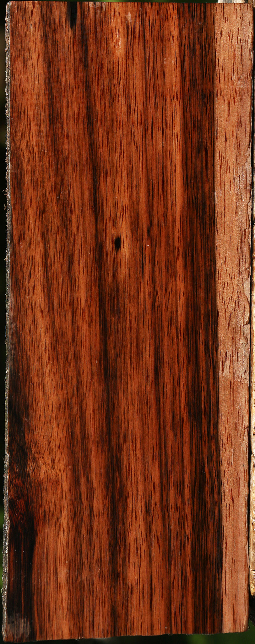 Amara Ebony Live Edge Lumber