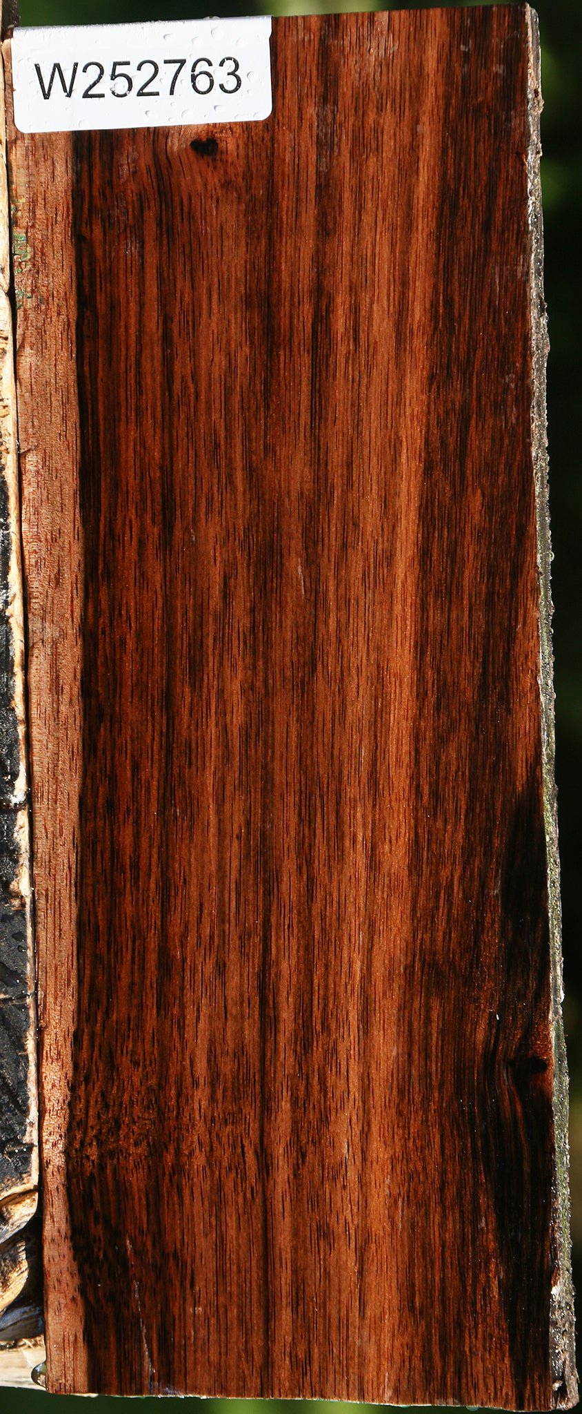Amara Ebony Live Edge Lumber