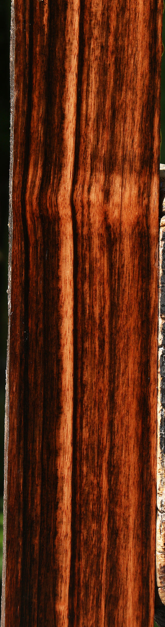 Quartersawn Amara Ebony Instrument Live Edge Lumber
