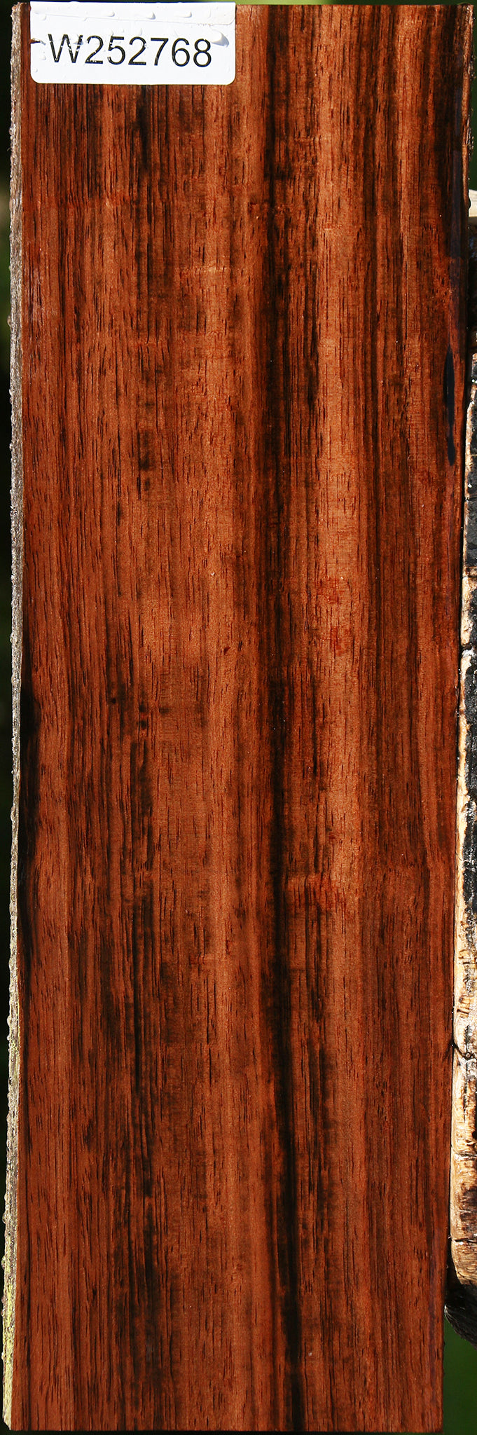 Amara Ebony Live Edge Lumber