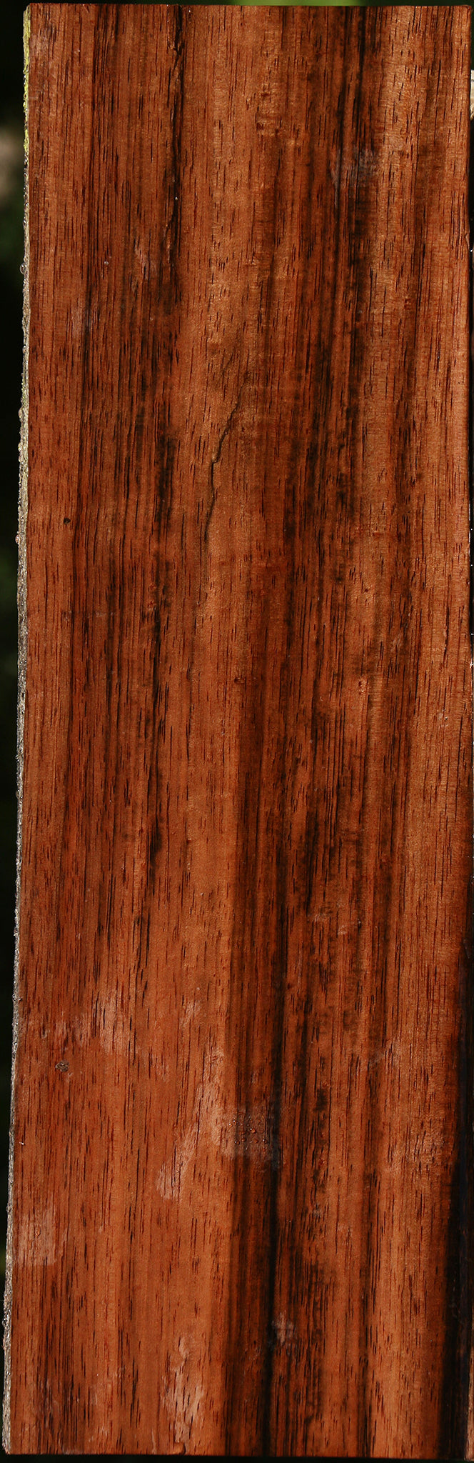 Amara Ebony Live Edge Lumber