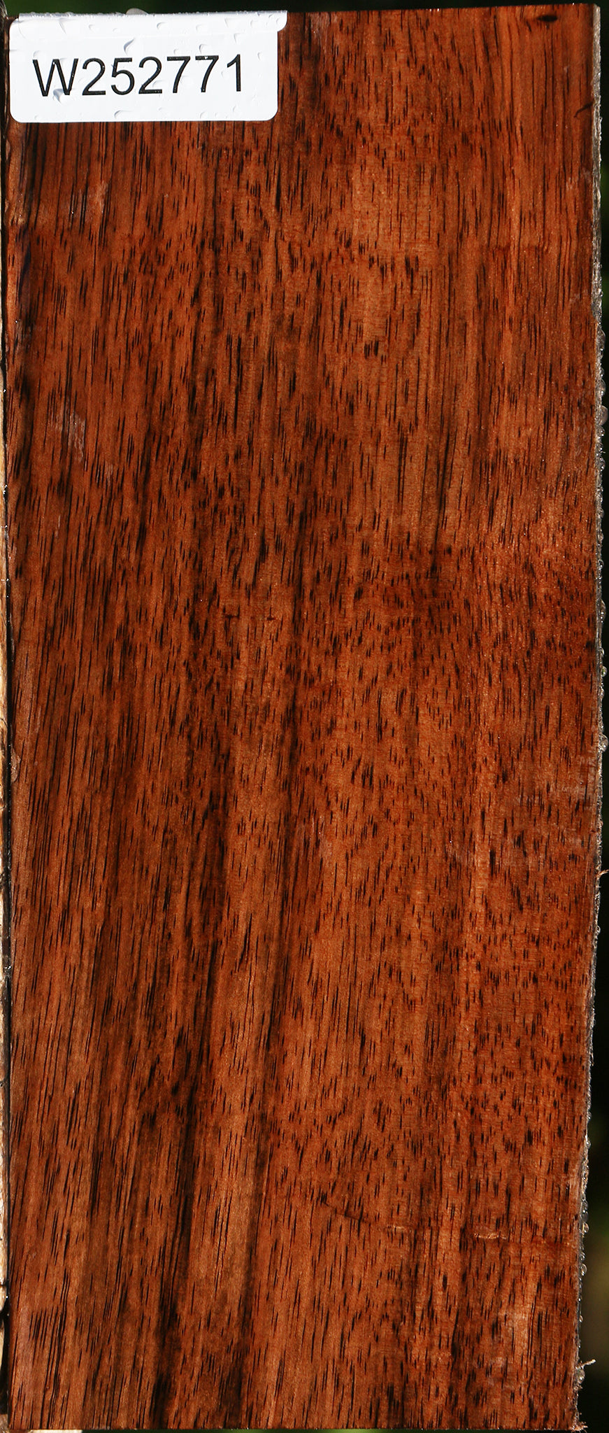 Amara Ebony Live Edge Lumber