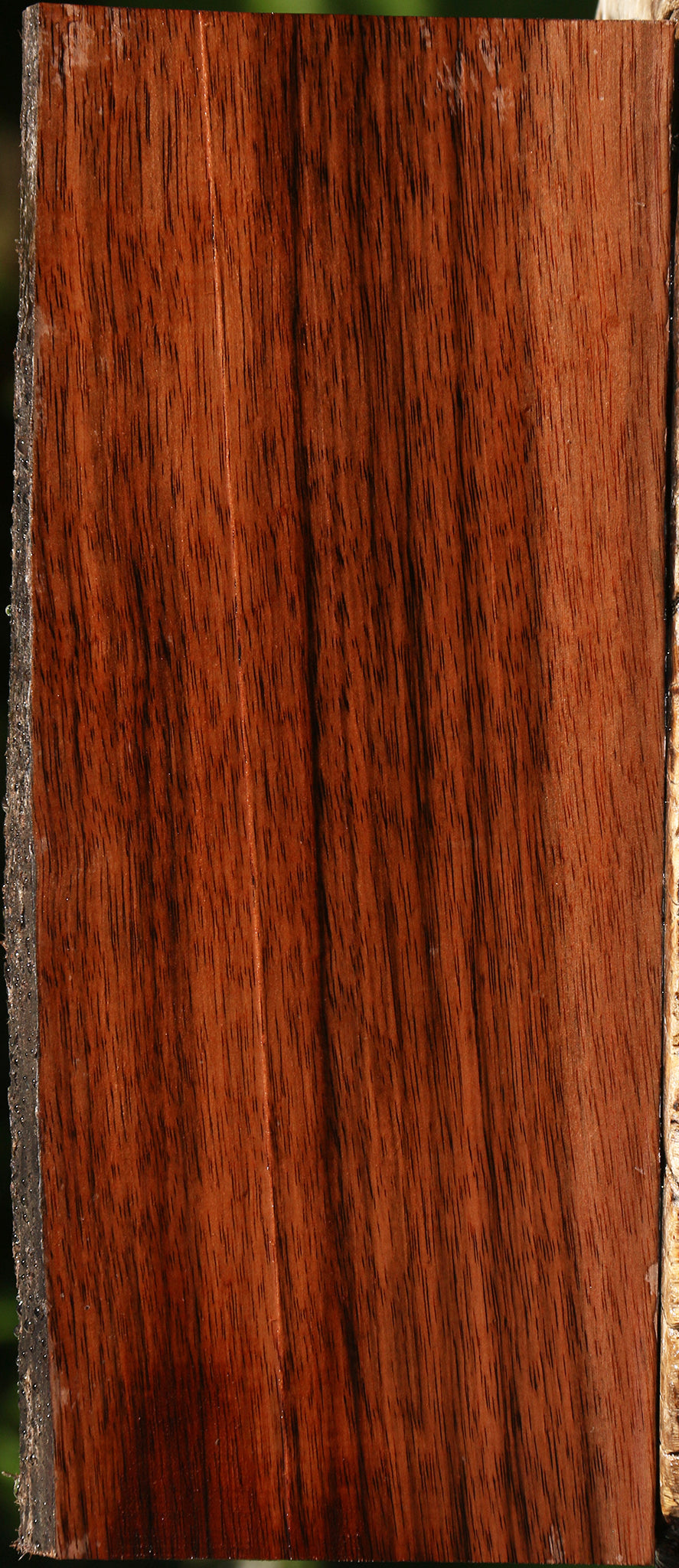 Amara Ebony Live Edge Lumber