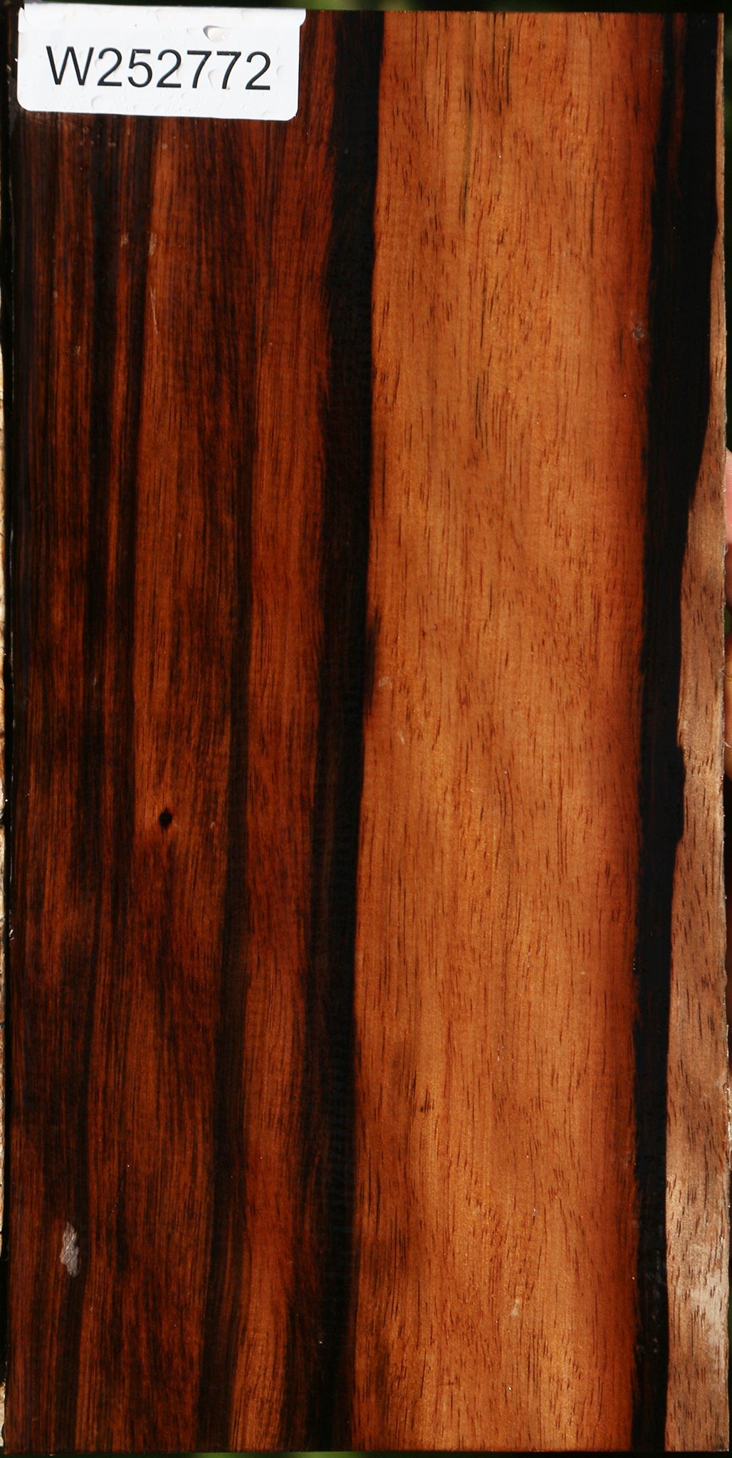 Amara Ebony Live Edge Lumber