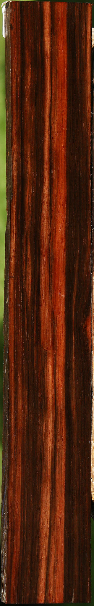 Amara Ebony Live Edge Lumber