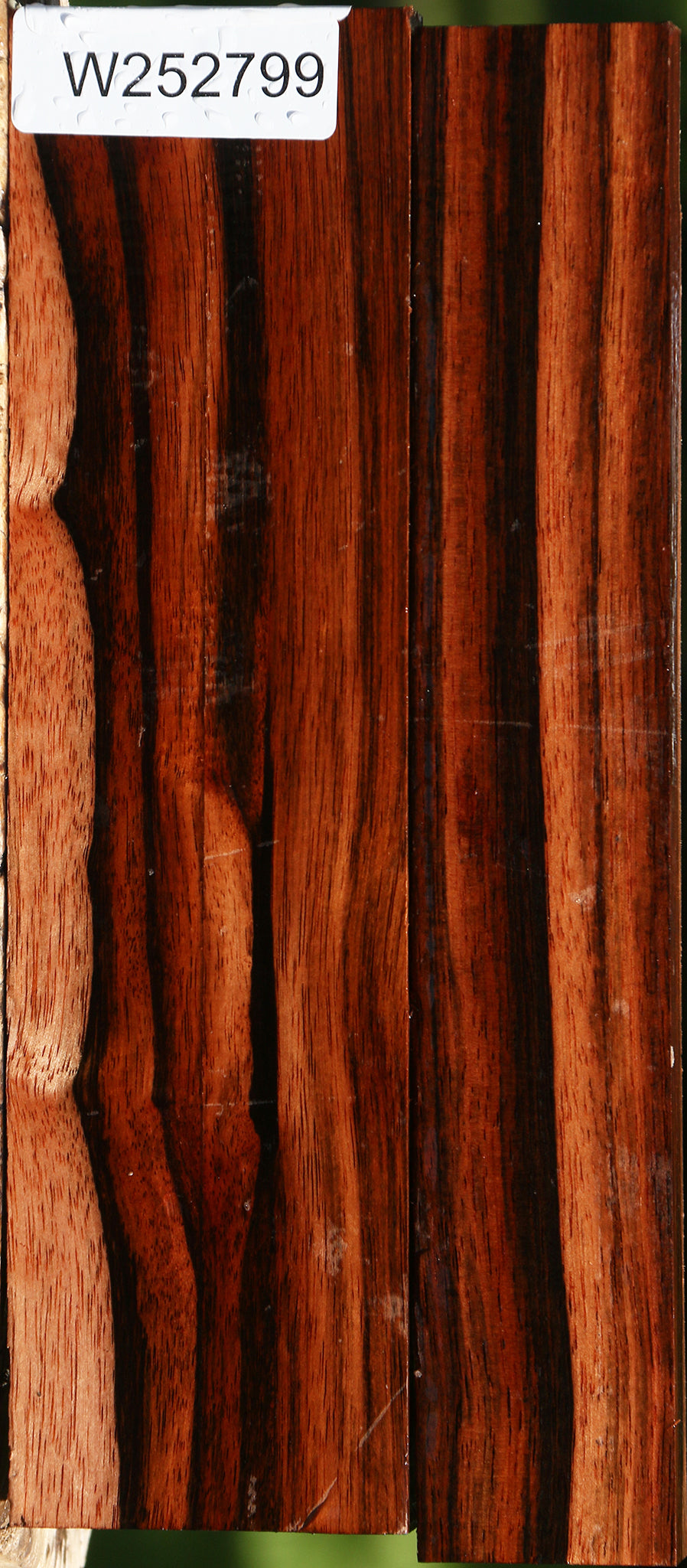 Amara Ebony Lumber 2 Pack