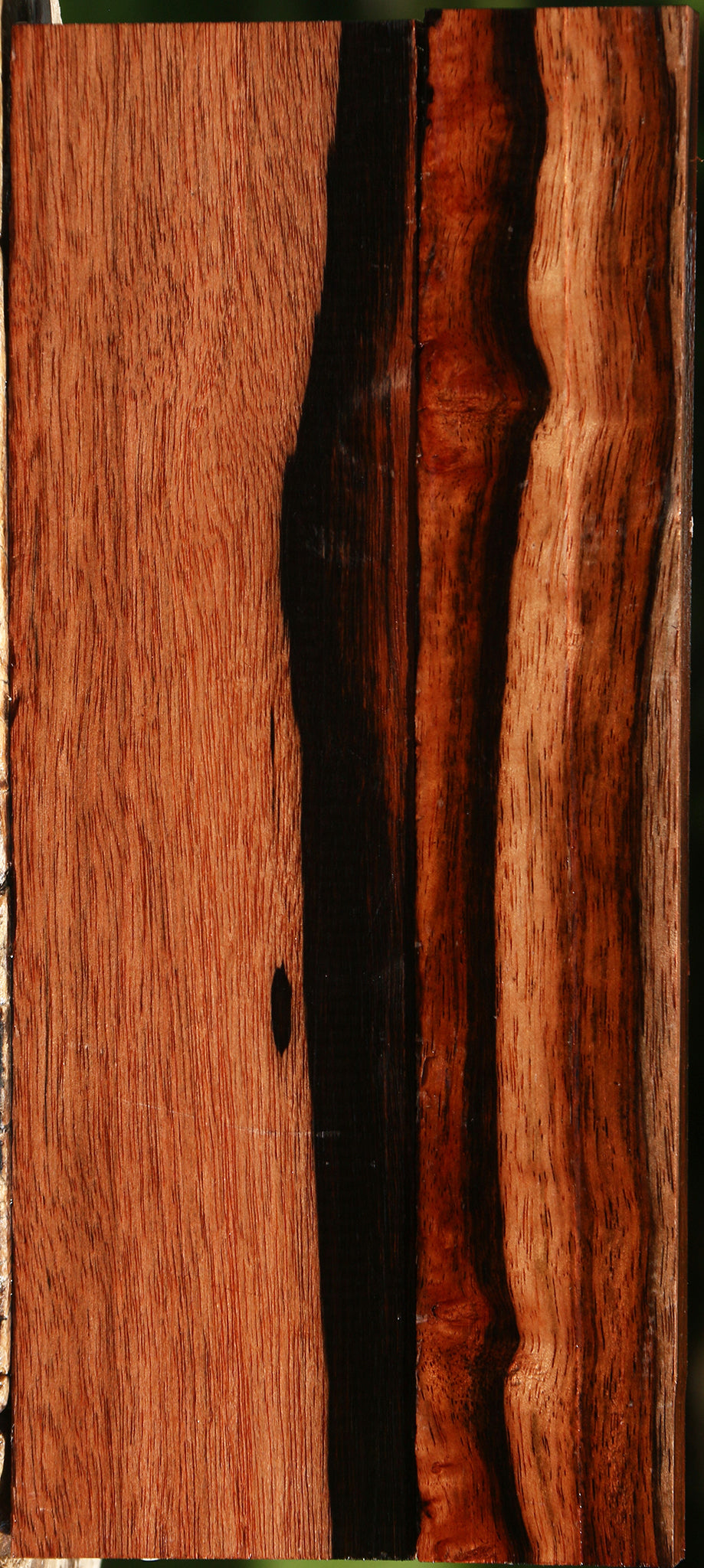 Amara Ebony Lumber 2 Pack