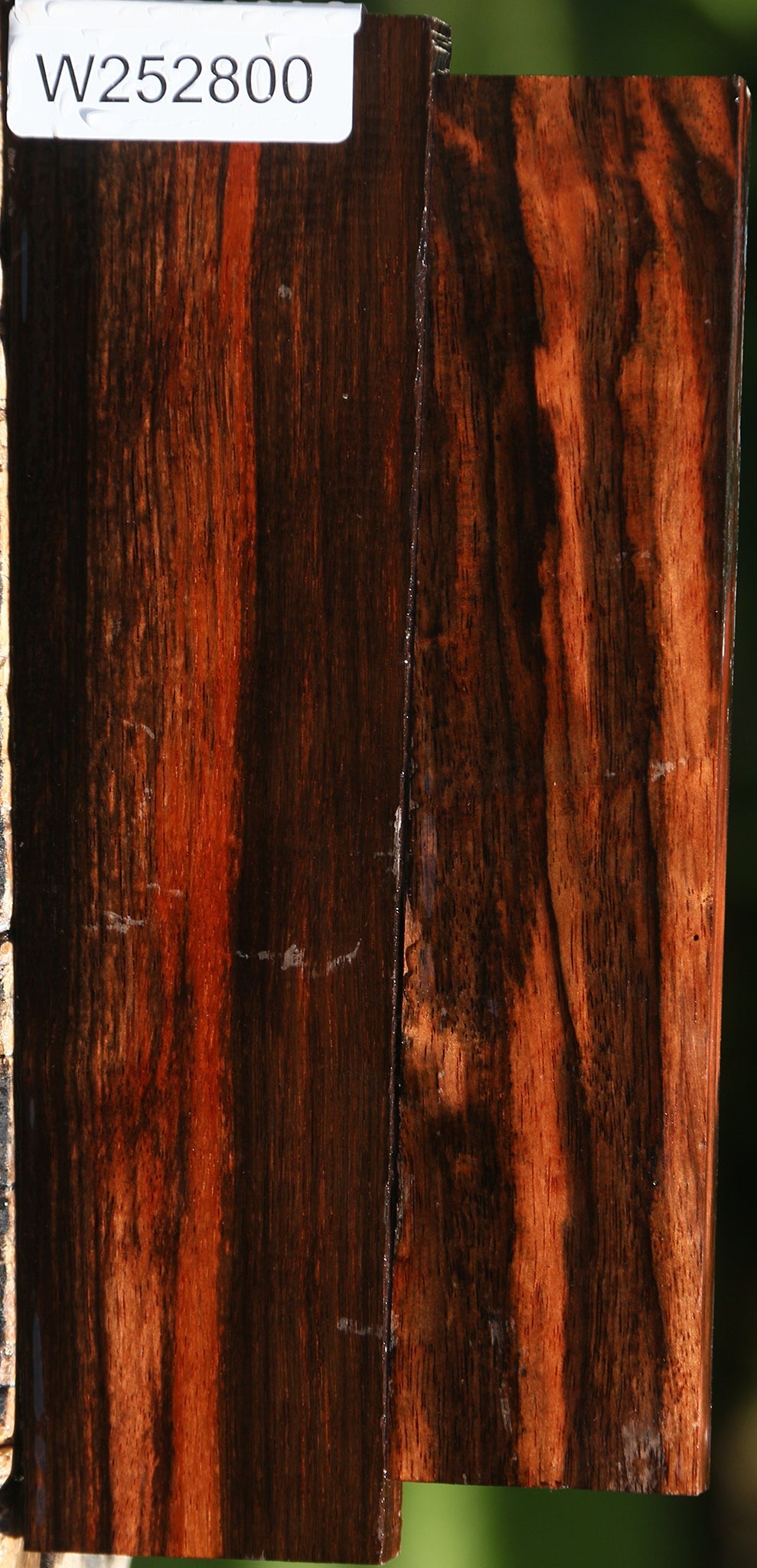 Amara Ebony Lumber 2 Pack