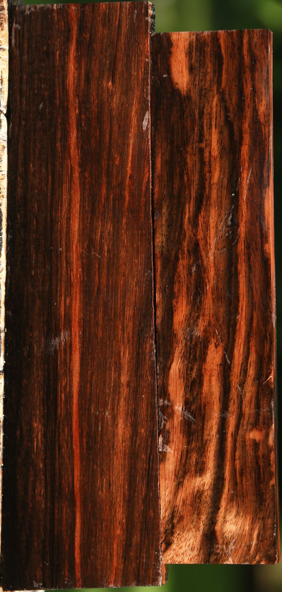 Amara Ebony Lumber 2 Pack