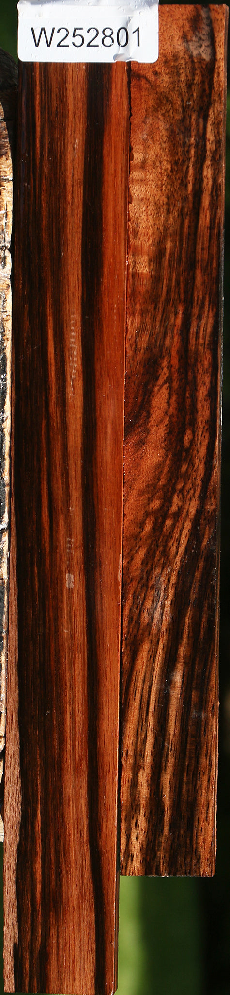 Amara Ebony Lumber 2 Pack