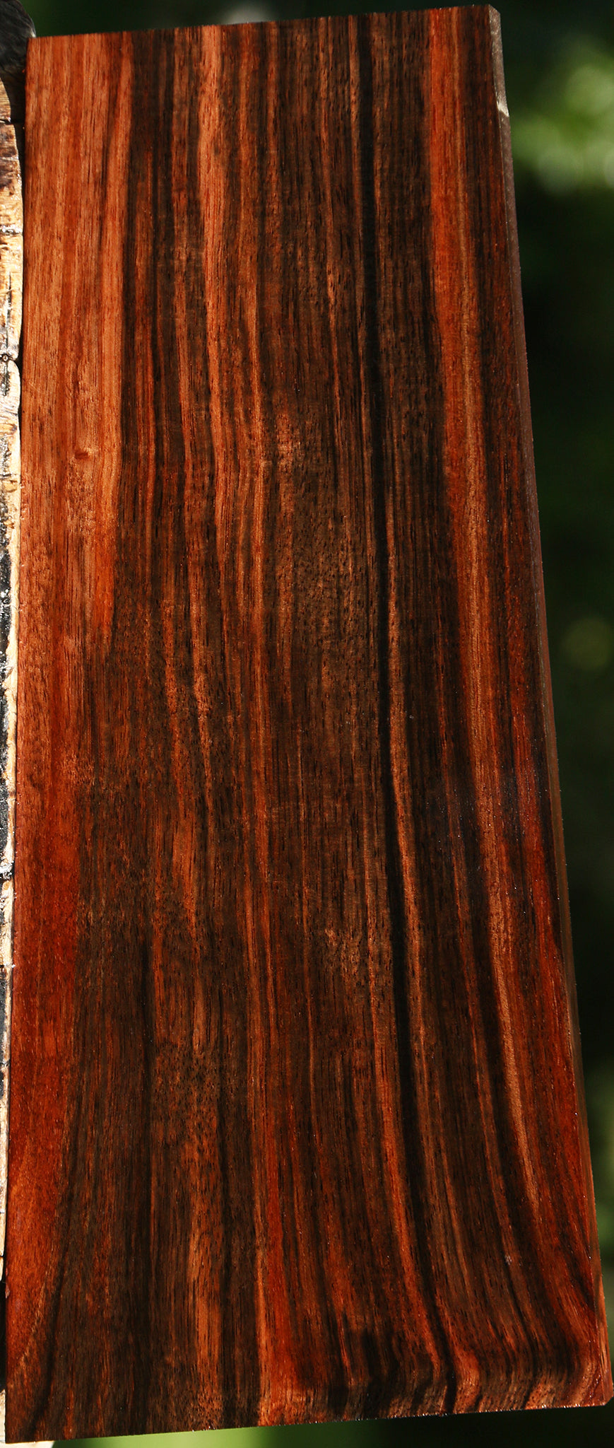 Extra Fancy Amara Ebony Lumber