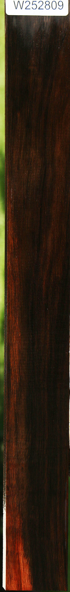 Amara Ebony Lumber