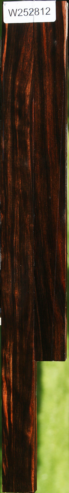 Amara Ebony Lumber 2 Pack