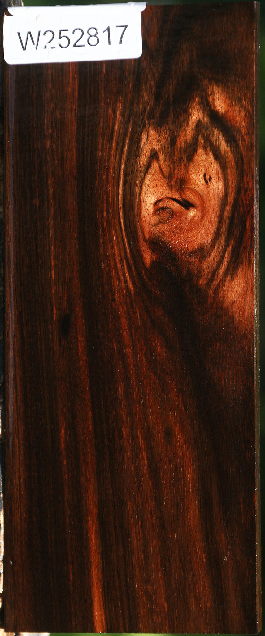 Amara Ebony Lumber