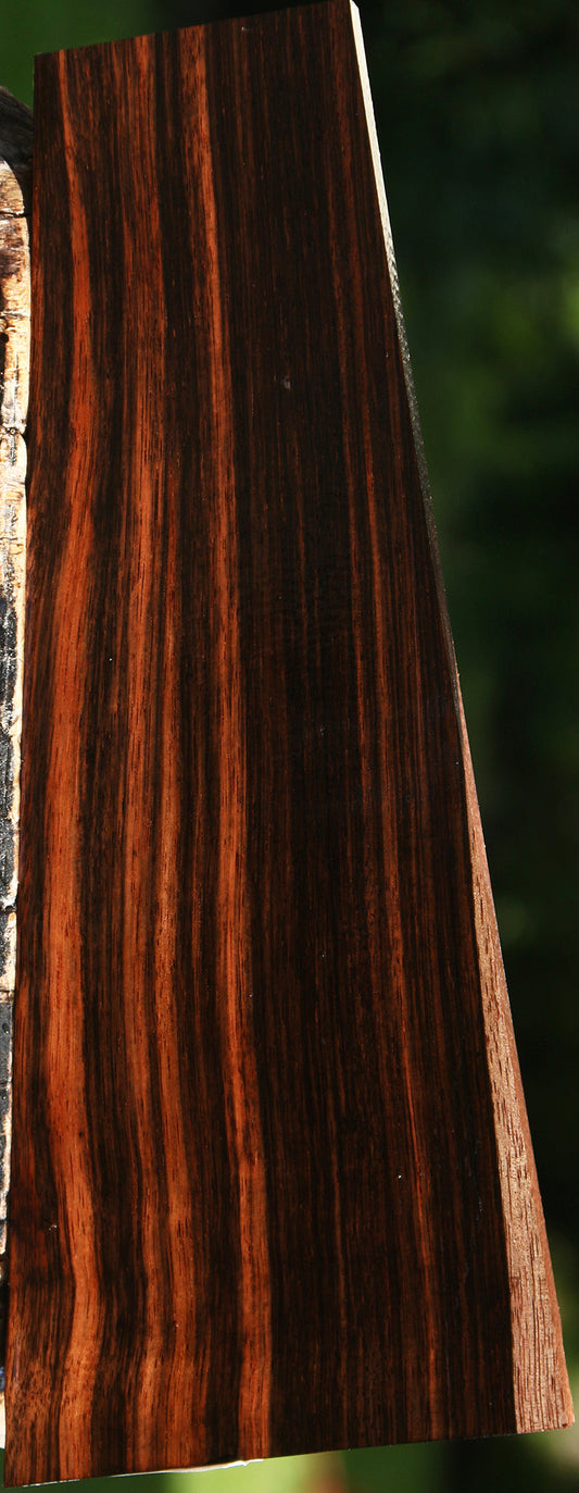 Extra Fancy Amara Ebony Lumber