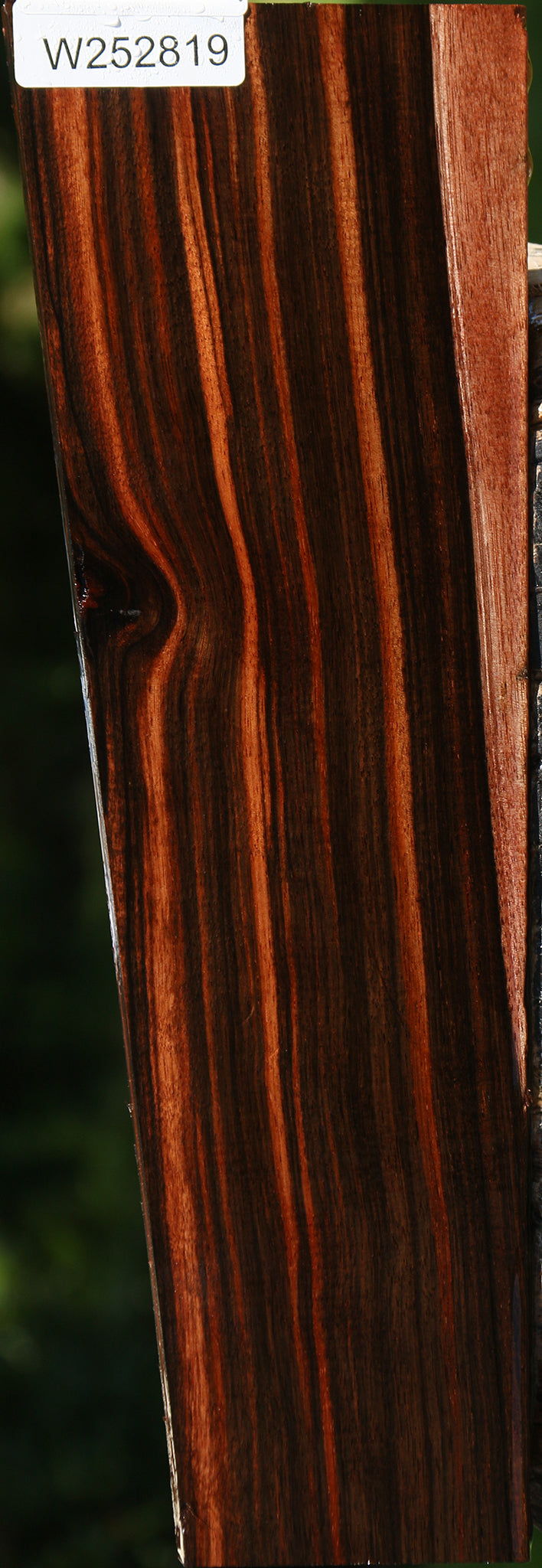 Extra Fancy Amara Ebony Lumber
