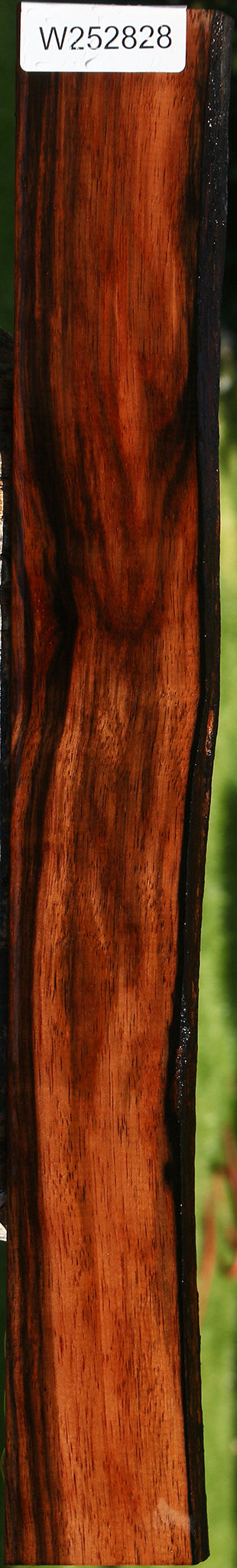 Amara Ebony Live Edge Lumber