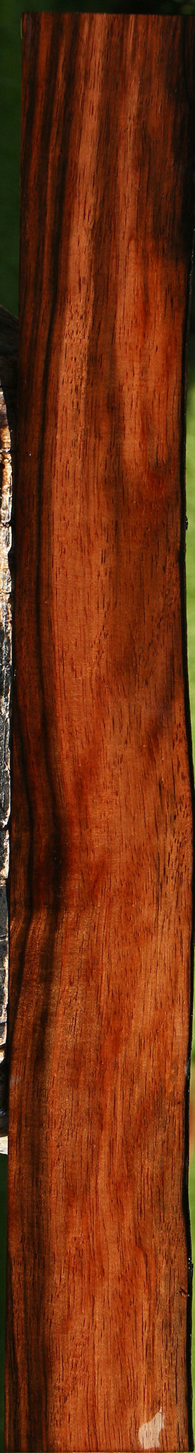 Amara Ebony Live Edge Lumber