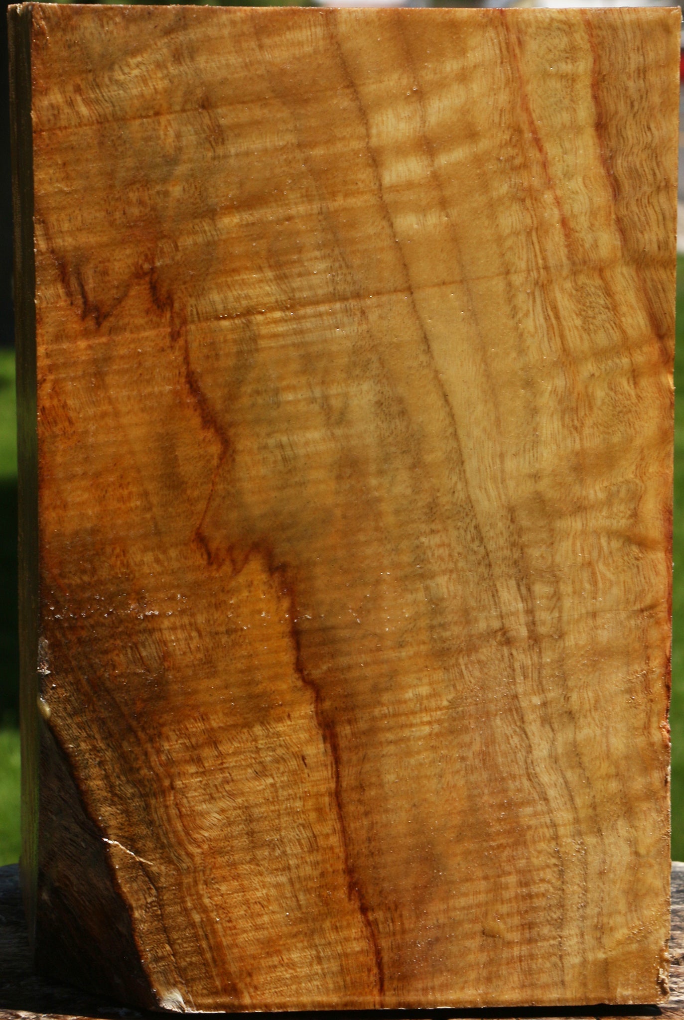 Extra Fancy Camphor Vessel Blank