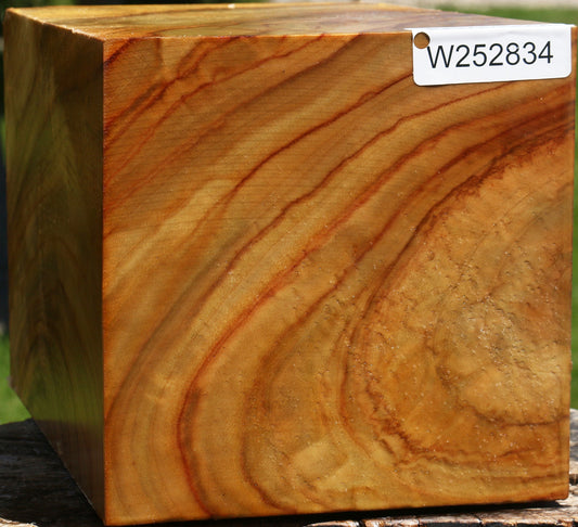 Extra Fancy Camphor Vessel Blank
