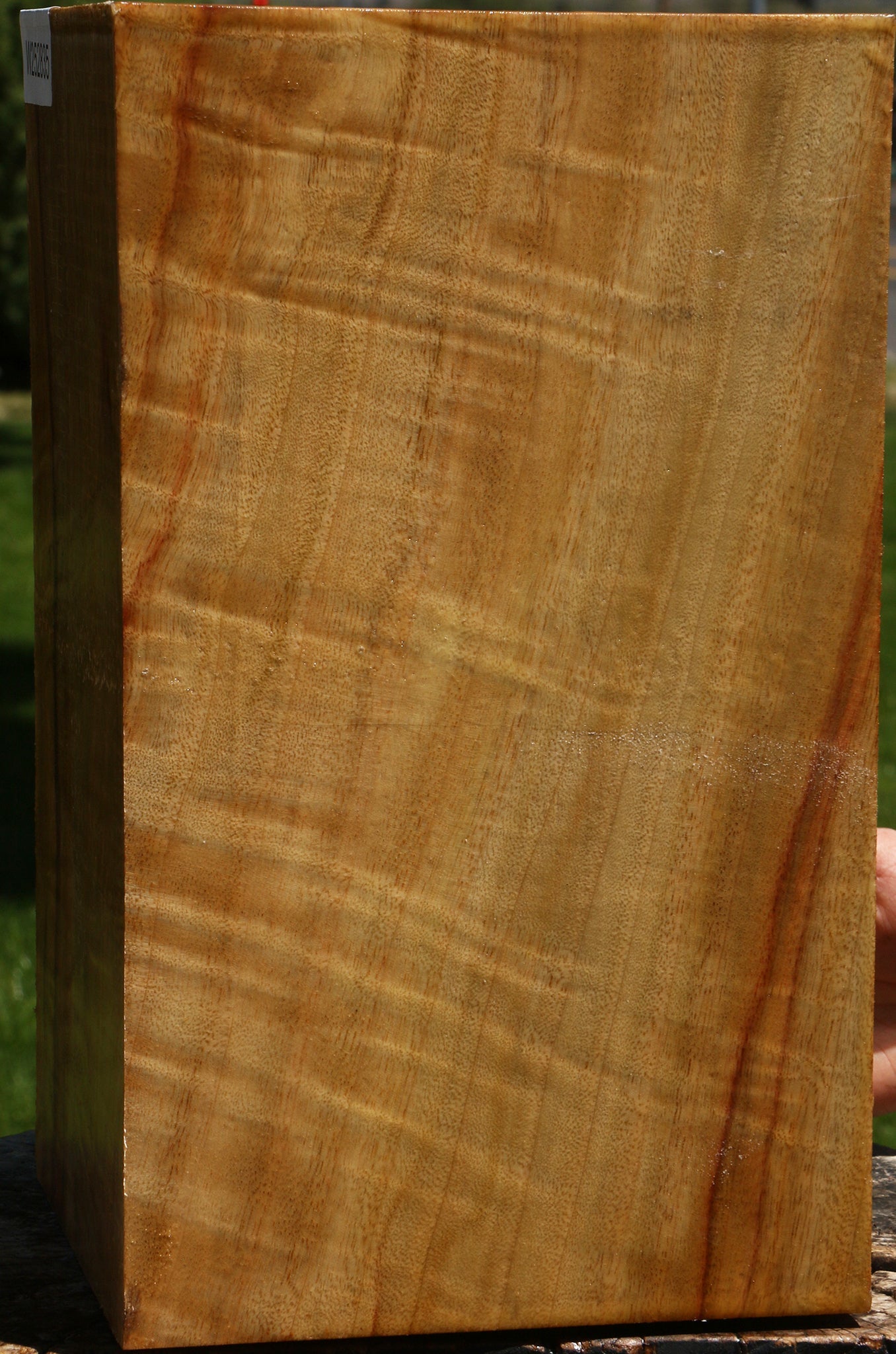 Extra Fancy Camphor Vessel Blank