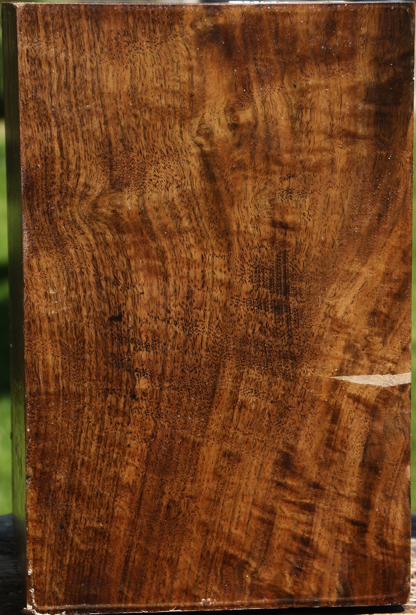 Extra Fancy Claro Walnut Vessel Blank